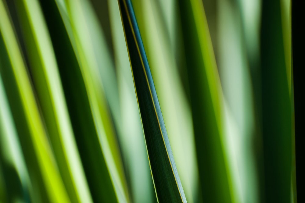 Photograph by Aleksandur Vasilev