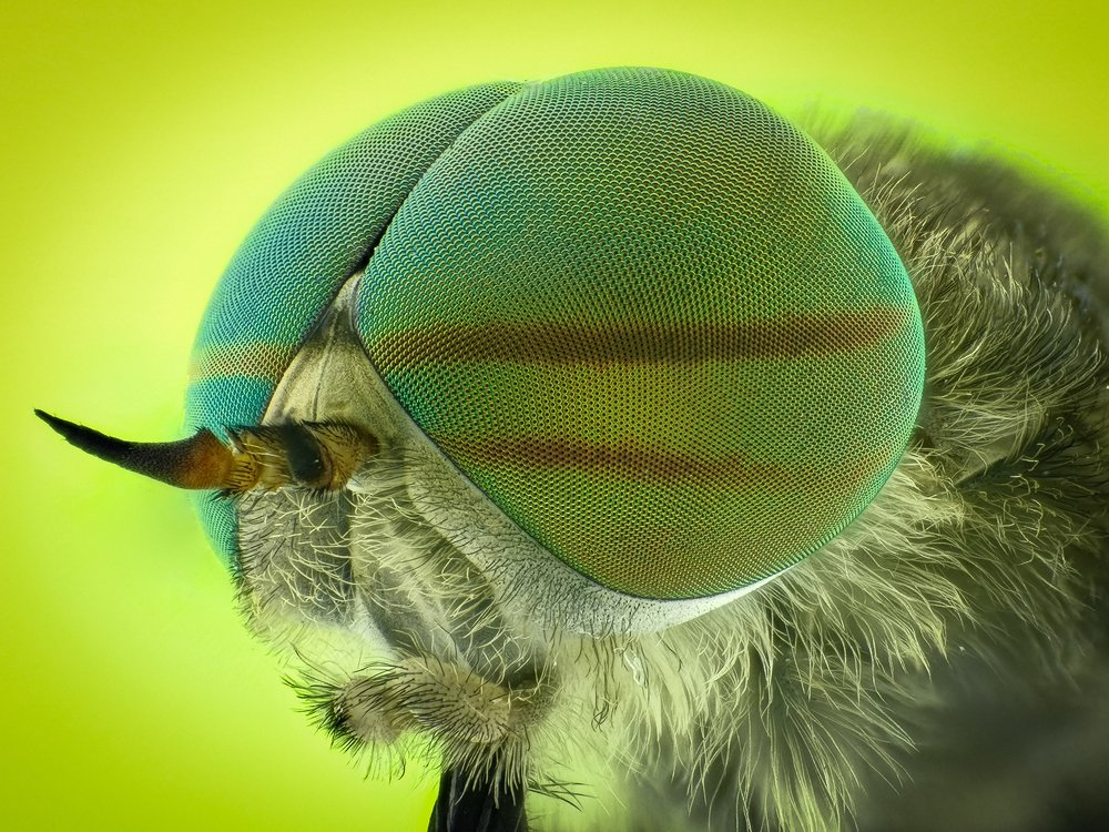 Photograph by Aleksandur Vasilev