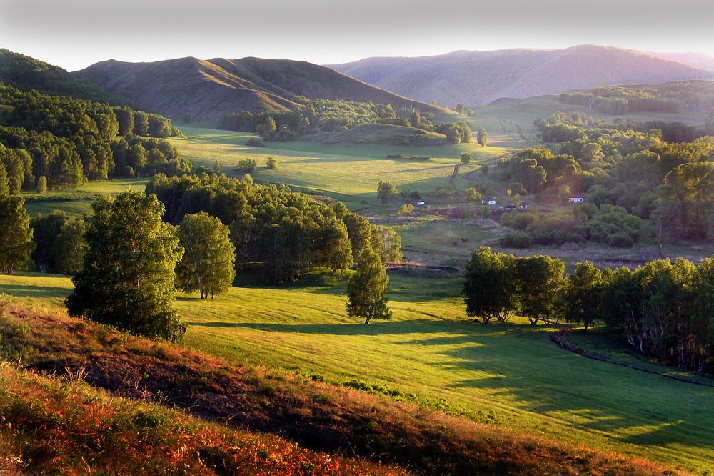 Photograph by петр чиков