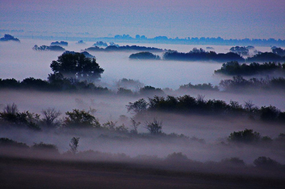 Photograph by петр чиков