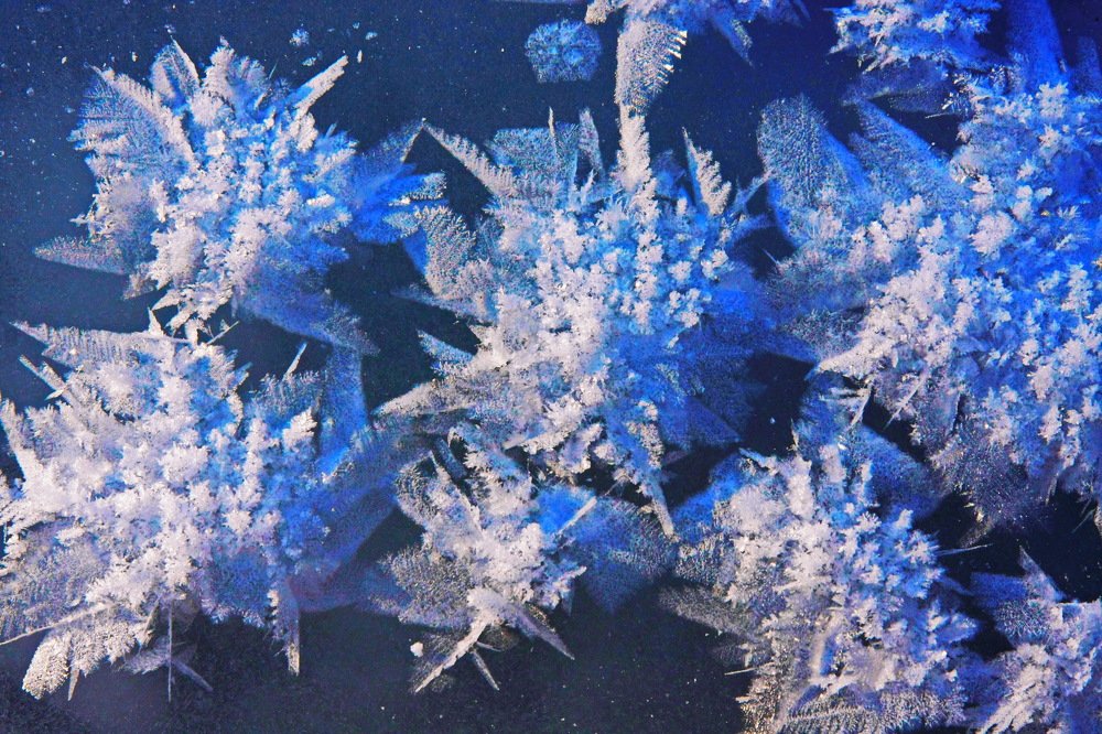 Photograph by петр чиков