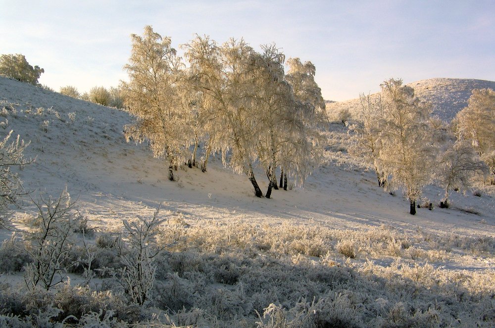 Photograph by петр чиков