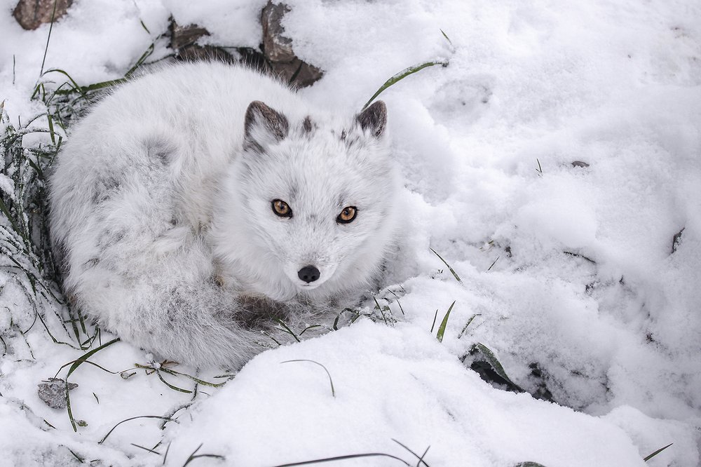 Не смотри на меня так внимательно...