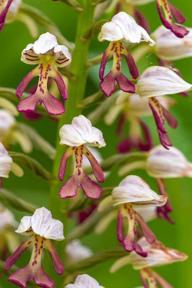 Photograph by Александр Земляной