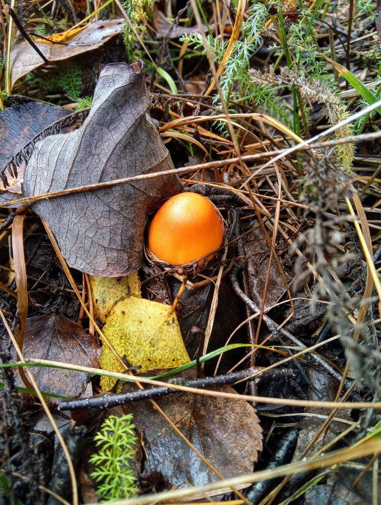 Photograph by Барно