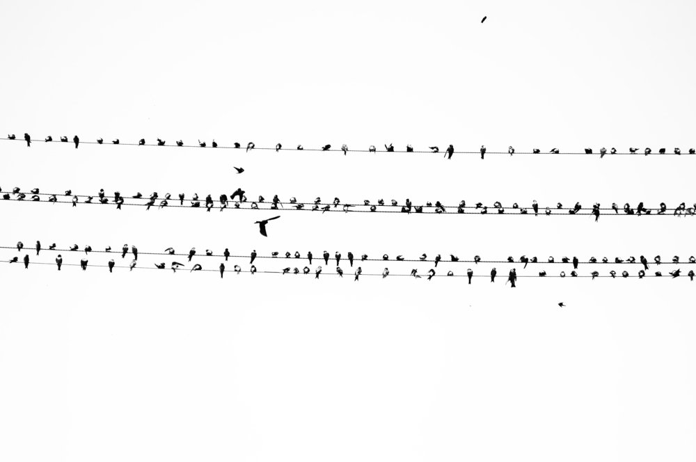 Photograph by Teodora Sarbinska