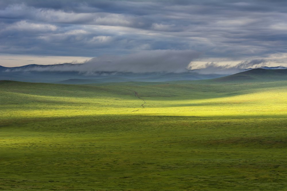 Photograph by Елена Вторушина