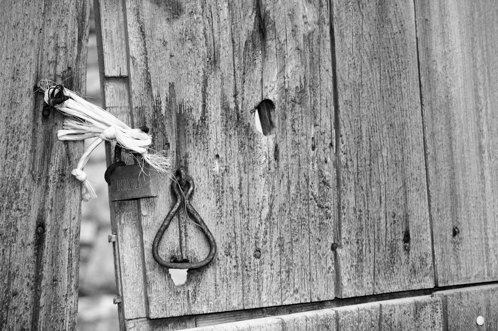 Photograph by Pino Battafarano