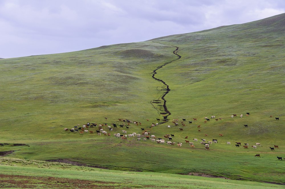 Photograph by Елена Вторушина