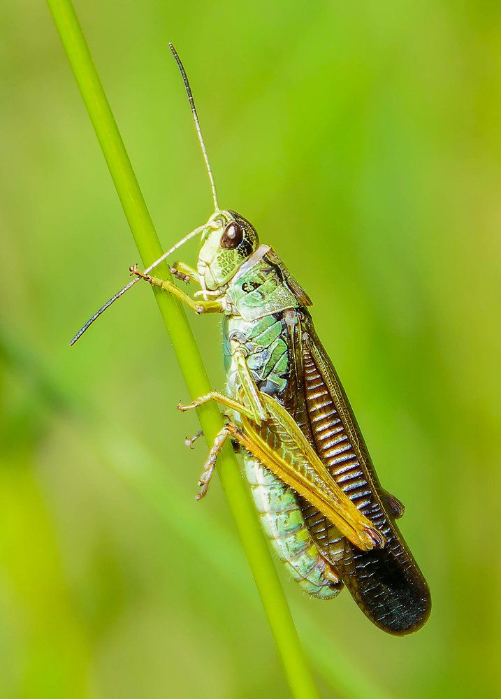 Photograph by Елена Вторушина