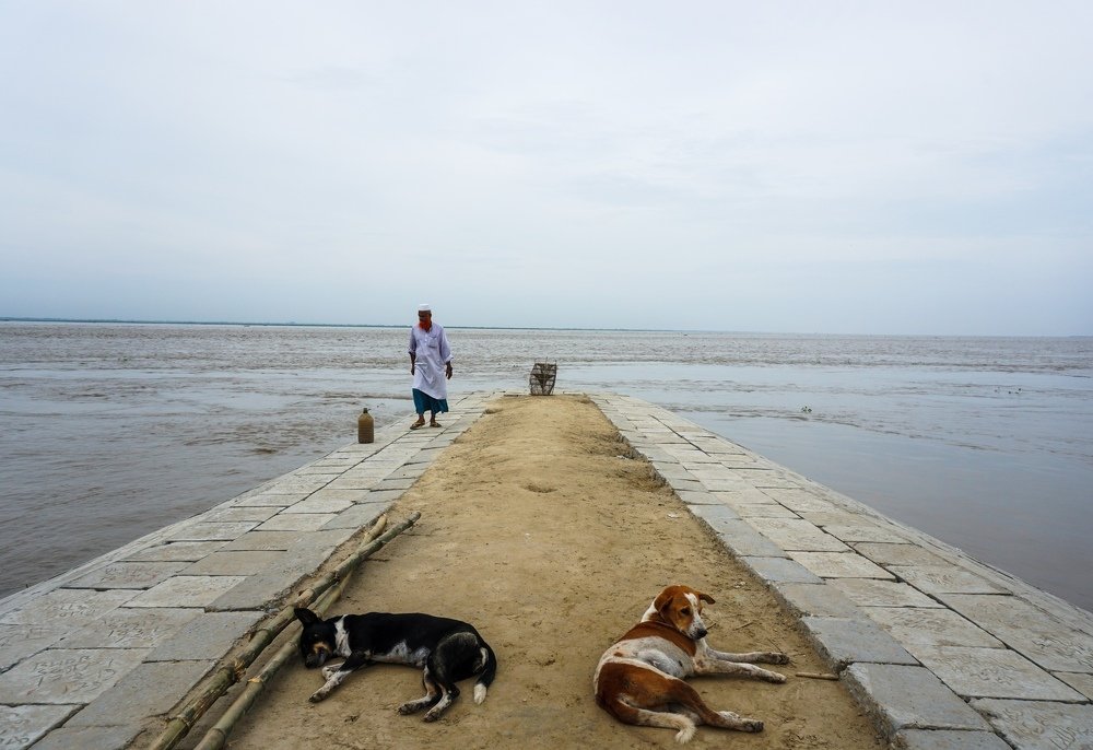 Photograph by (Sakib) S.M.Al Muztaba Rosul