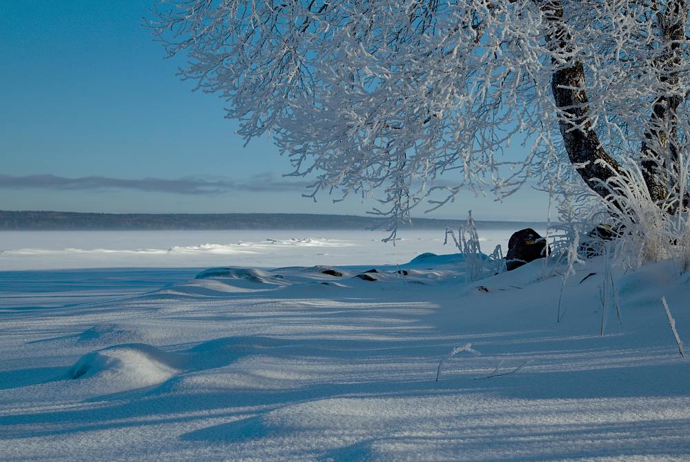 Онего в белом.