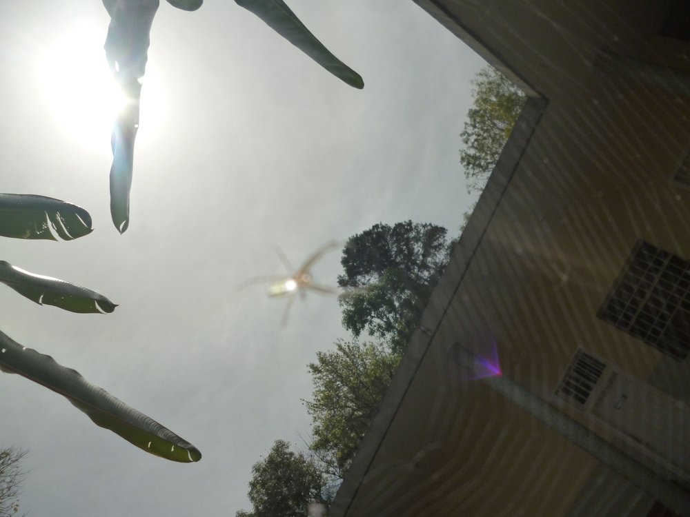 Mirada Flash y el Sol.