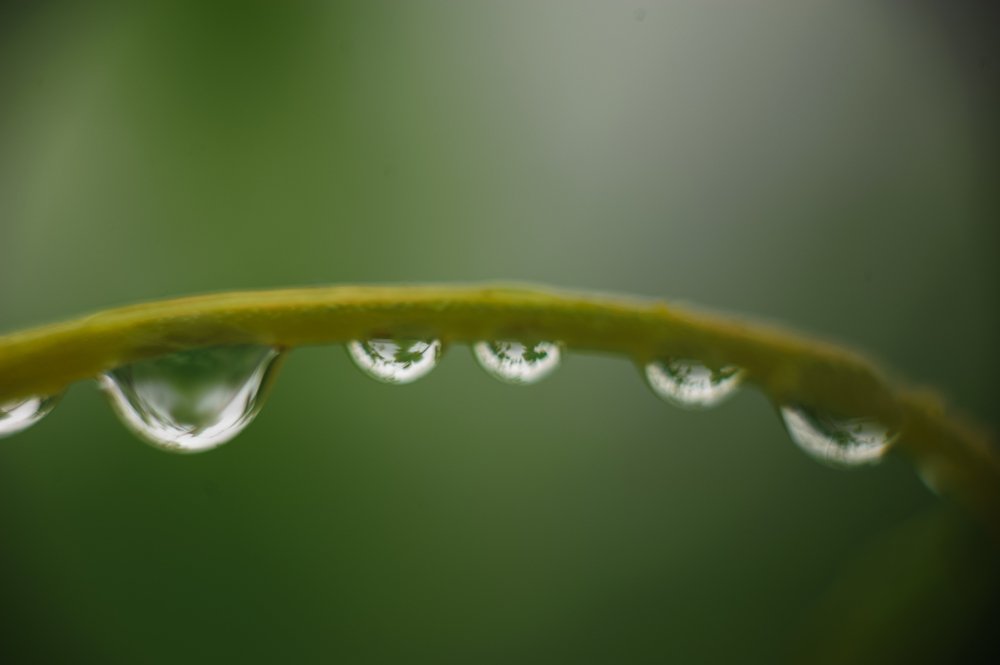 Photograph by Ирина Летунова