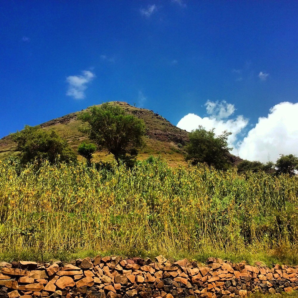 Photograph by Rassam Ali AL baadani