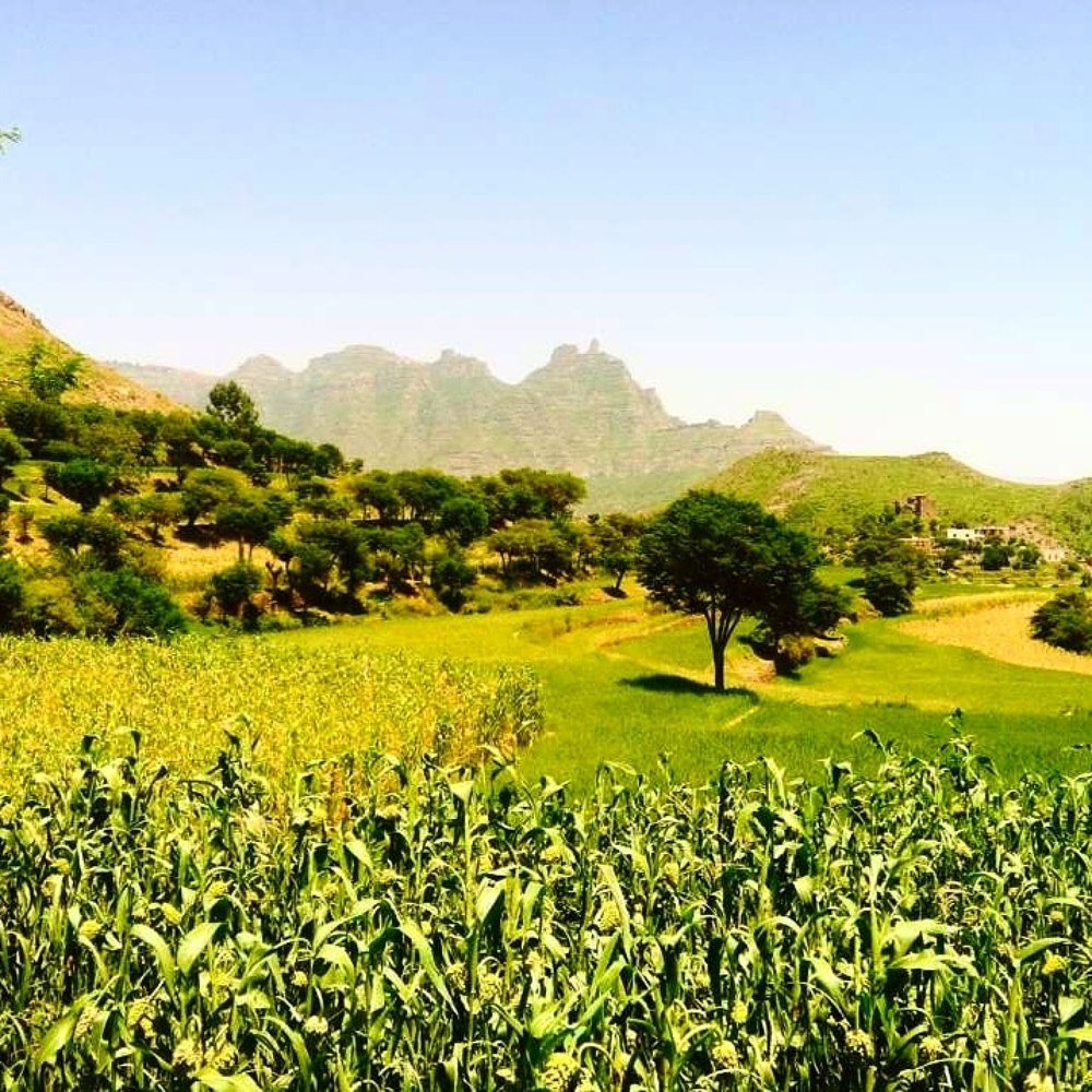 Photograph by Rassam Ali AL baadani