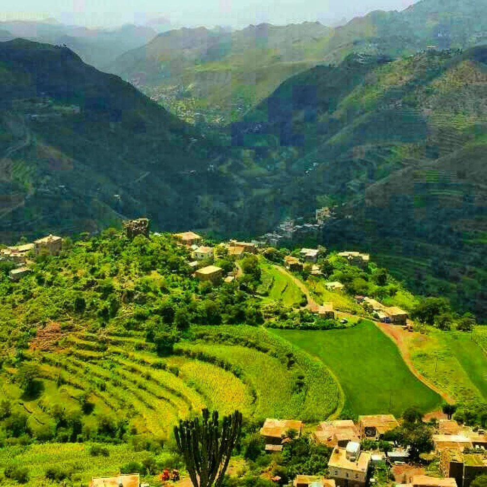 Photograph by Rassam Ali AL baadani