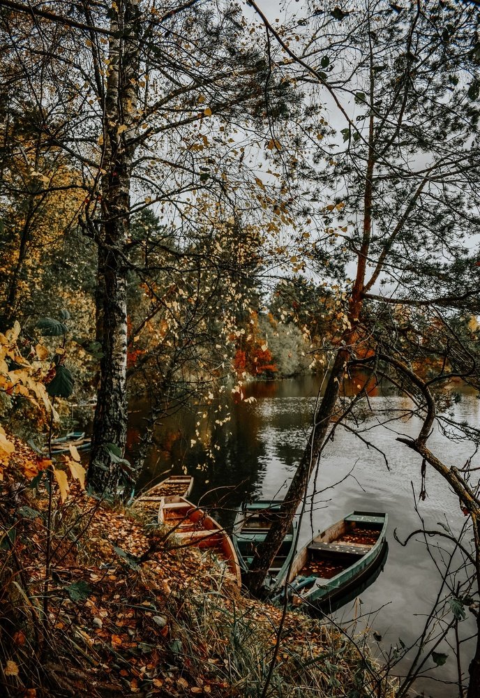 Photograph by Павел Агеев