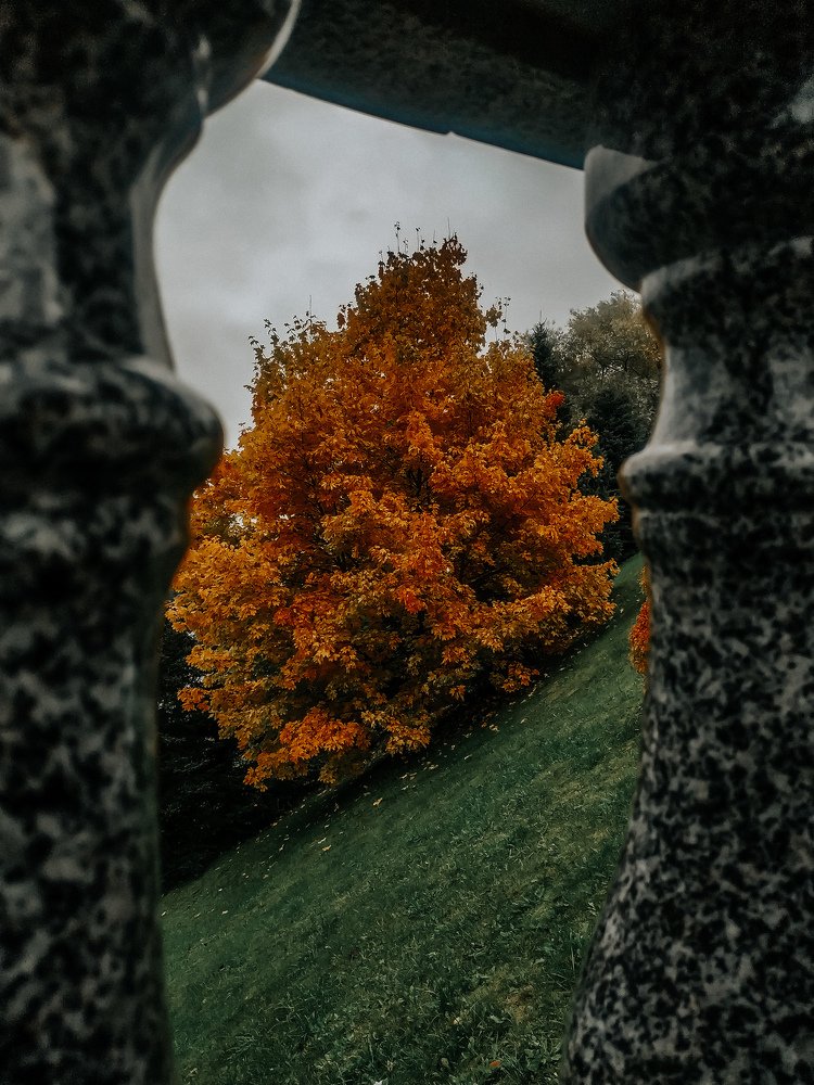 Photograph by Павел Агеев