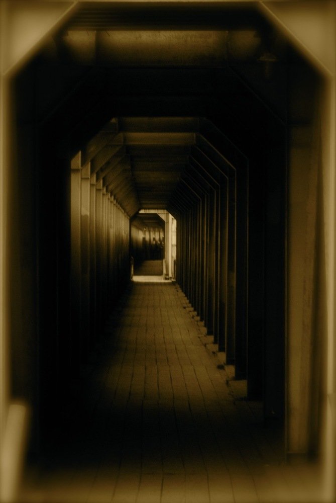 Photograph by Аля Кнастер