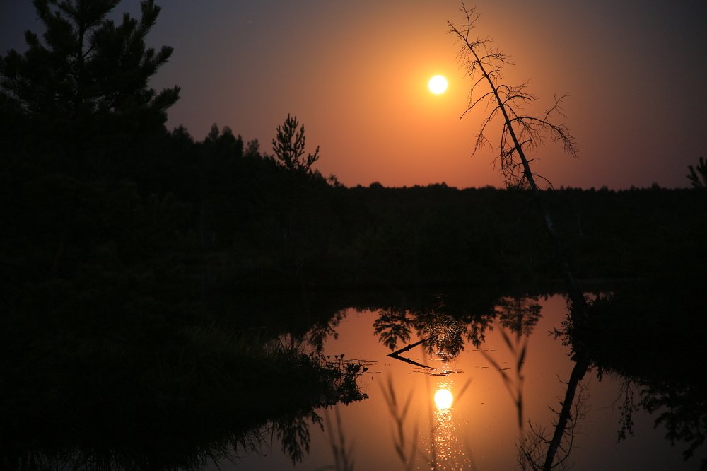 Photograph by viktor nevdakhin