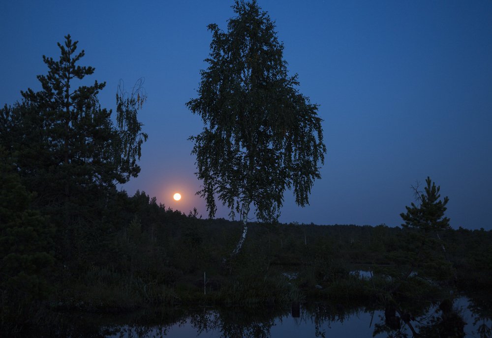 Photograph by viktor nevdakhin