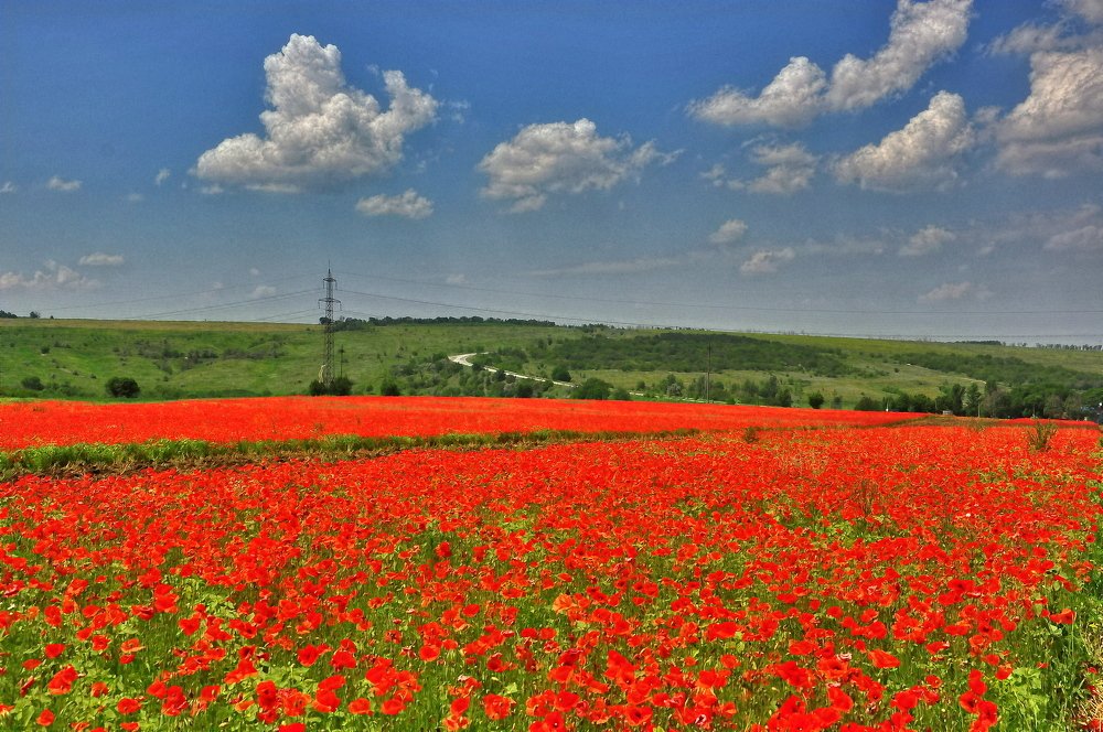 Photograph by Олег Радионов