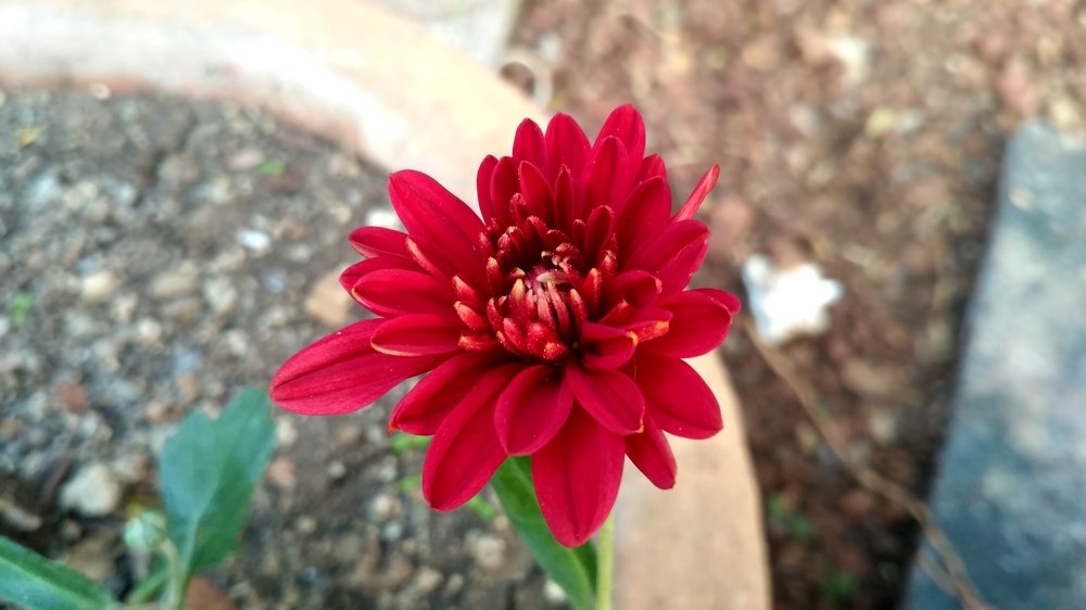 Photograph by Nayan Nandurkar