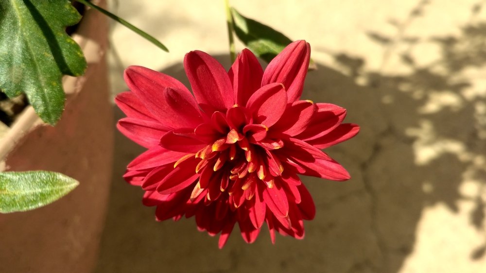 Photograph by Nayan Nandurkar