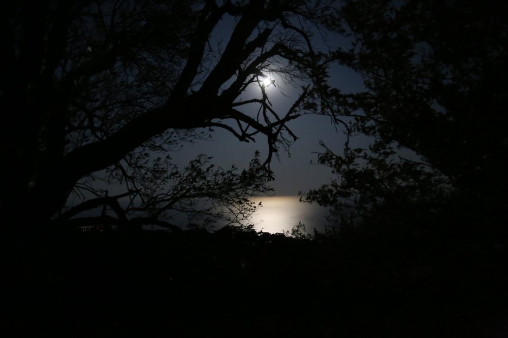 Photograph by Евгений Соколов