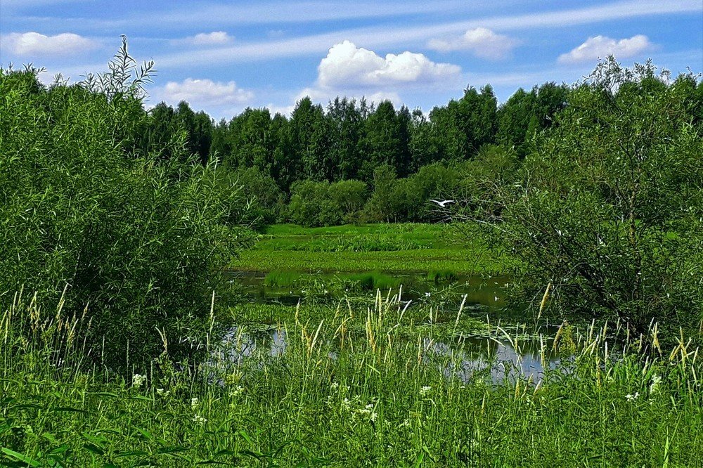 У озера.