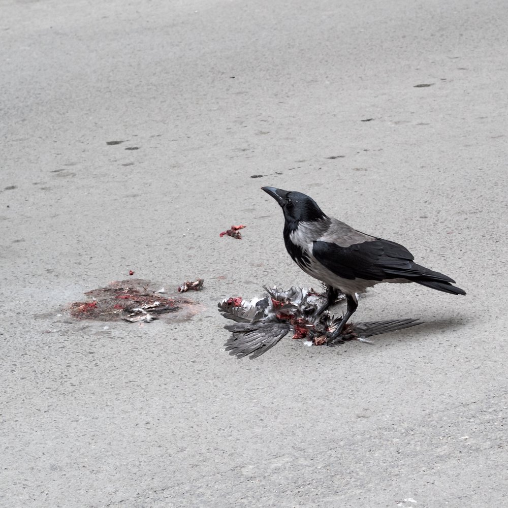 Фотография автора Alexander Dolapchiev