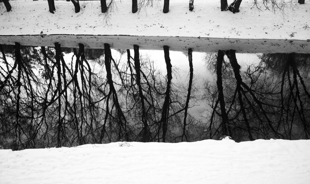 Photograph by Алексей Сыров