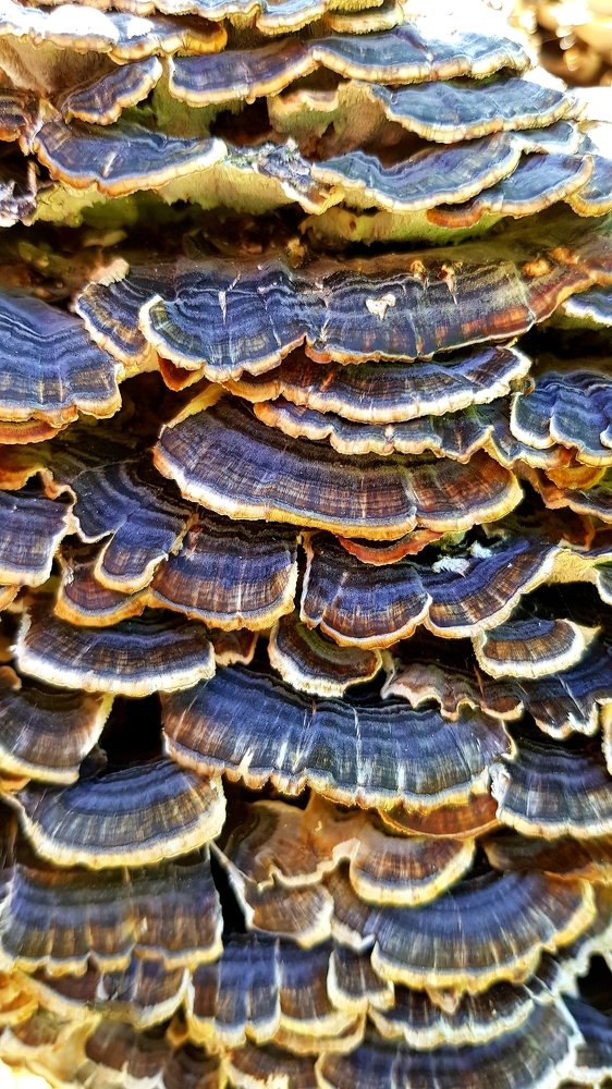 Photograph by Elisabeth Vinther