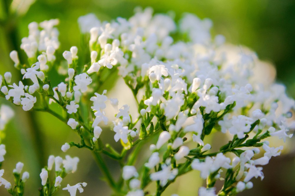 Photograph by Юлия Дейкун