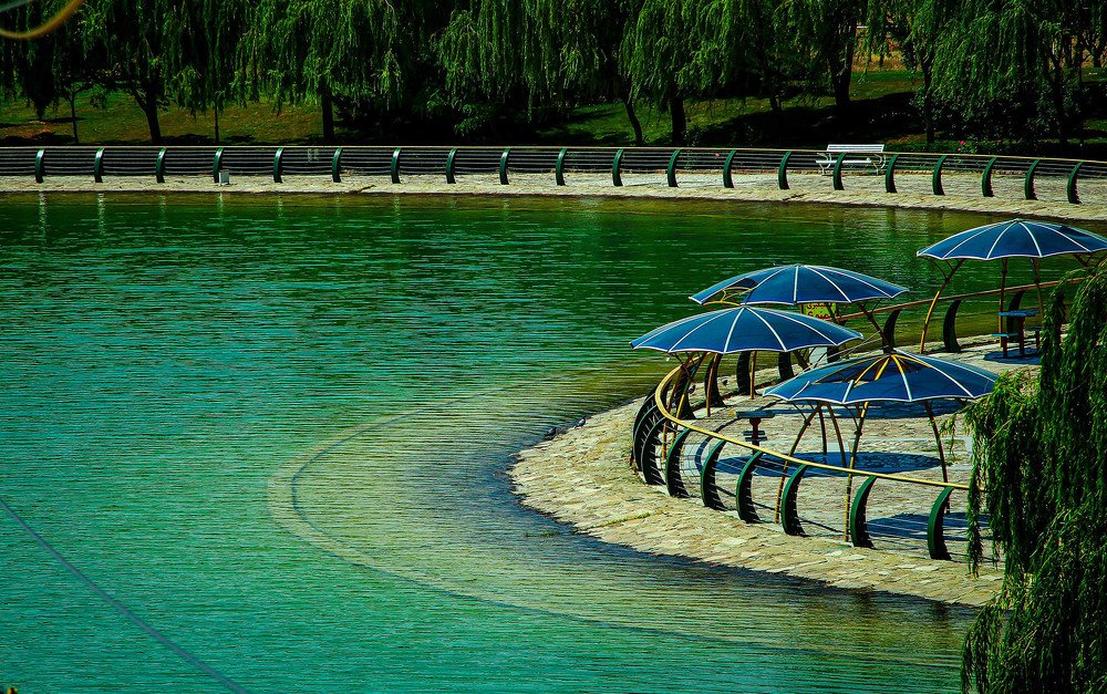 Фотография автора Elyas Iranmanesh