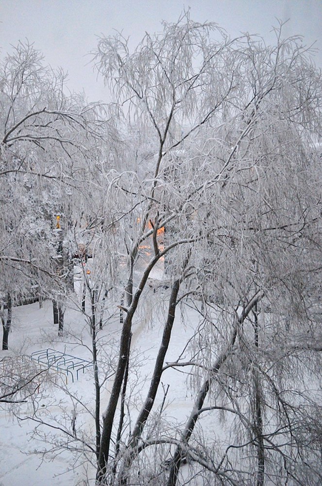 Photograph by Сергей