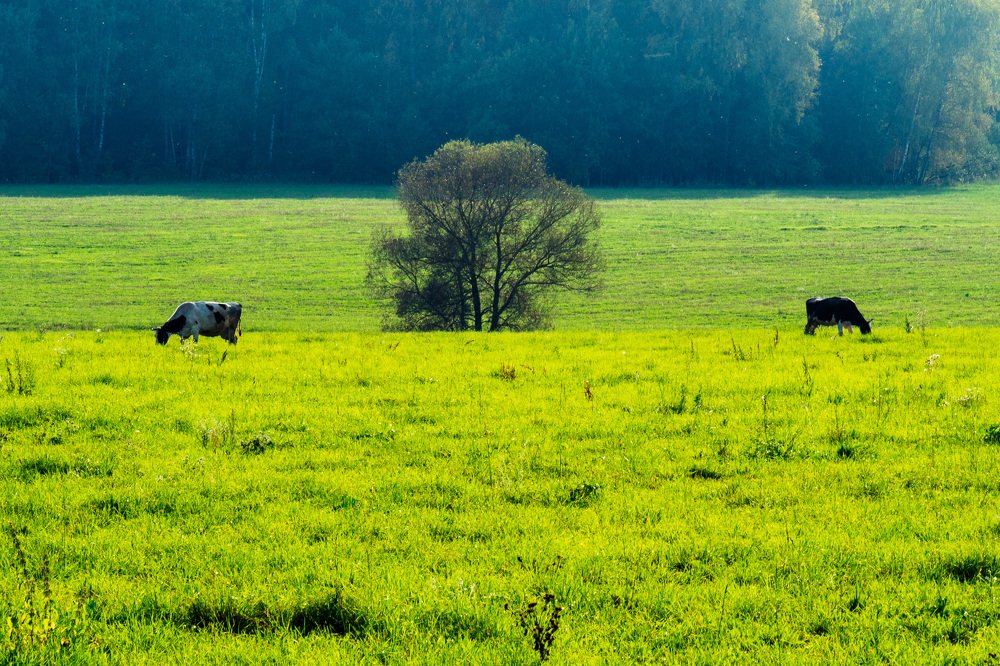 Photograph by Андрей Карбуков