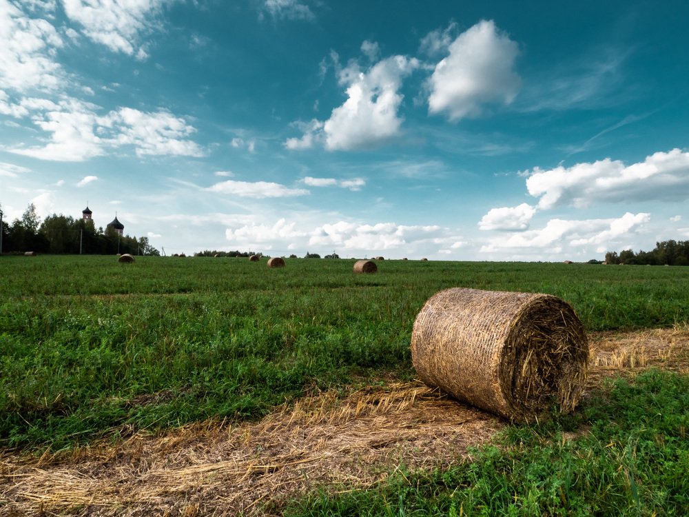 Photograph by Андрей Карбуков