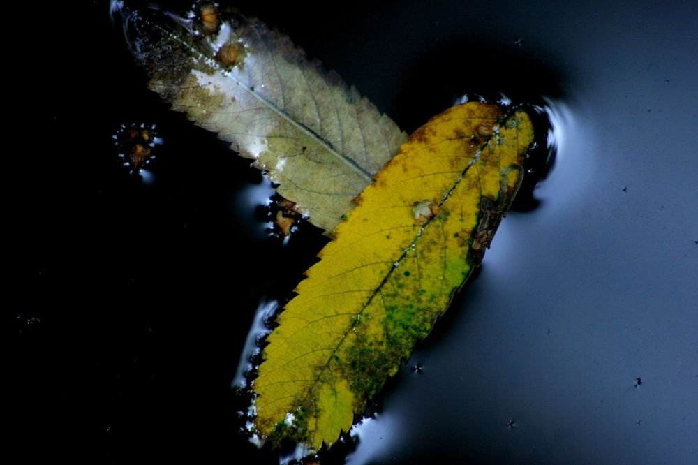 Без 10-ти Осень