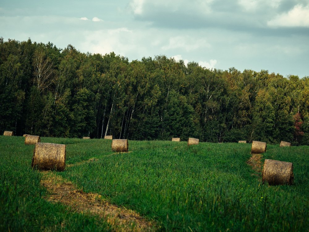 Photograph by Андрей Карбуков