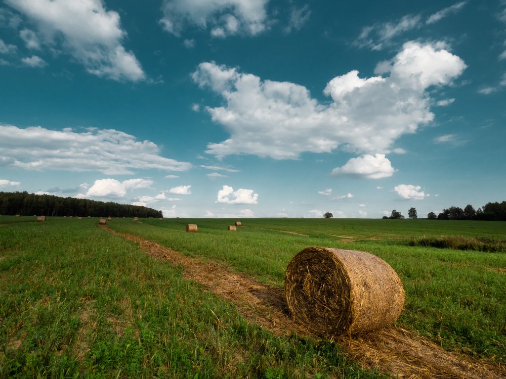 Photograph by Андрей Карбуков