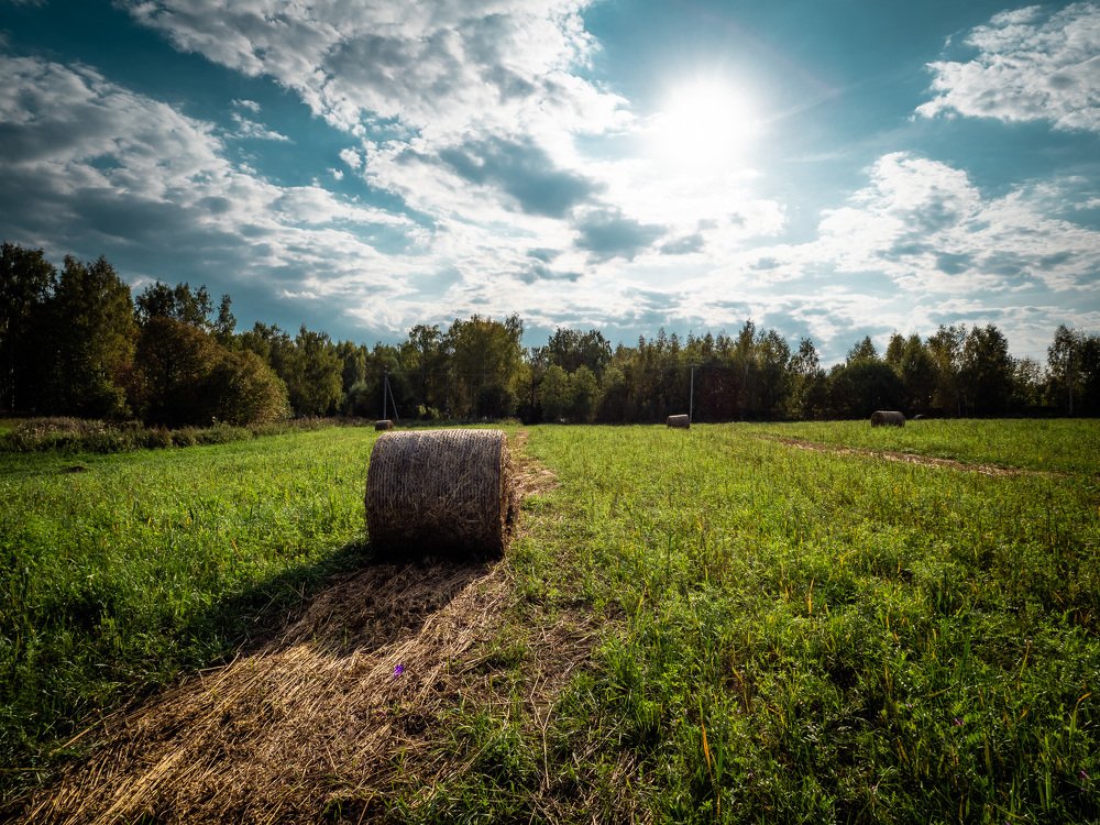 Photograph by Андрей Карбуков