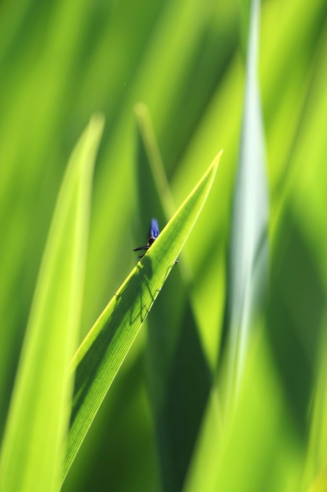 Can you see me? - Ты меня видишь?