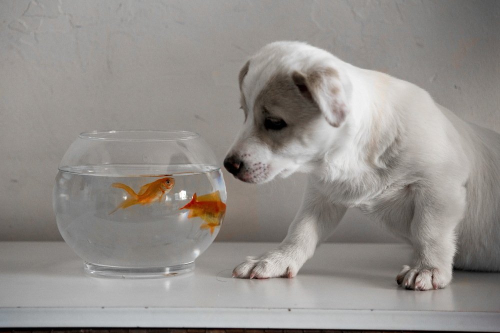 Photograph by DAMOUN POURNEMATI