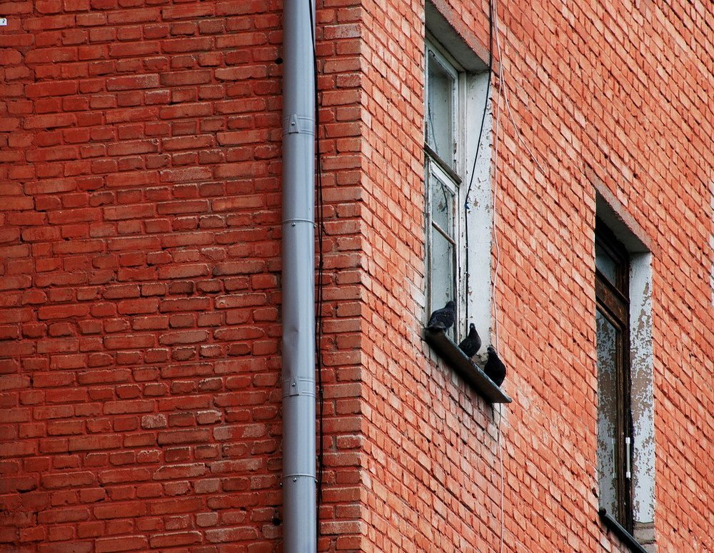 Фотография автора Владимир Ступинский