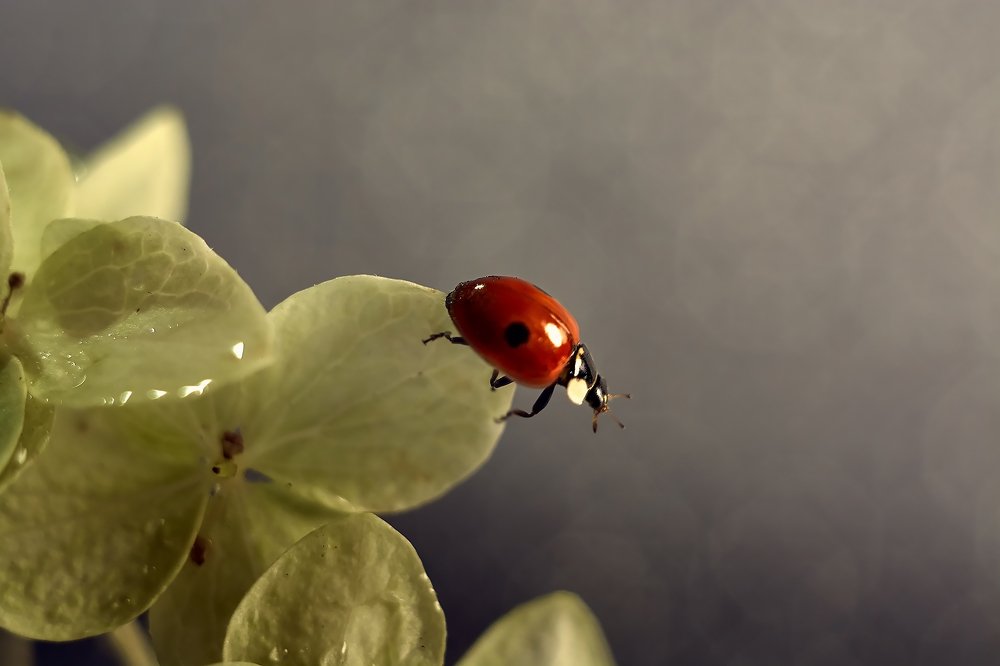 Photograph by Екатерина Бокова