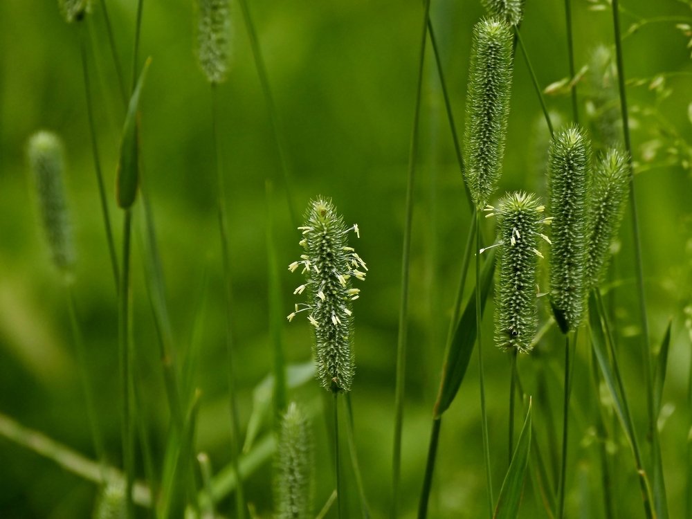 Photograph by Наталья