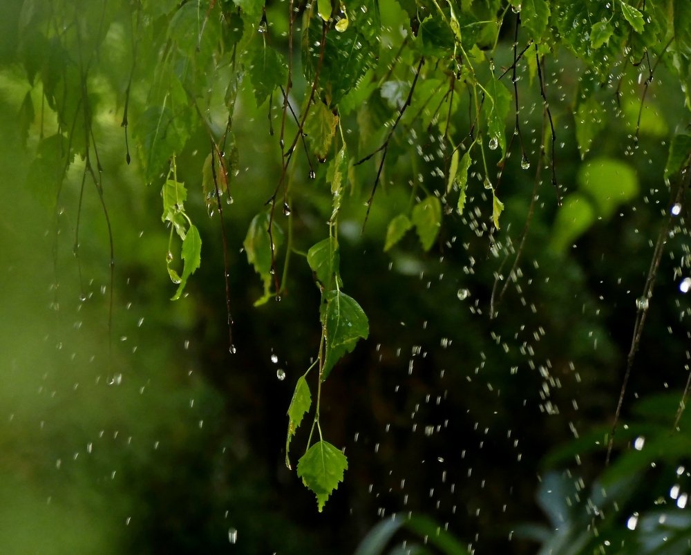 Photograph by Наталья