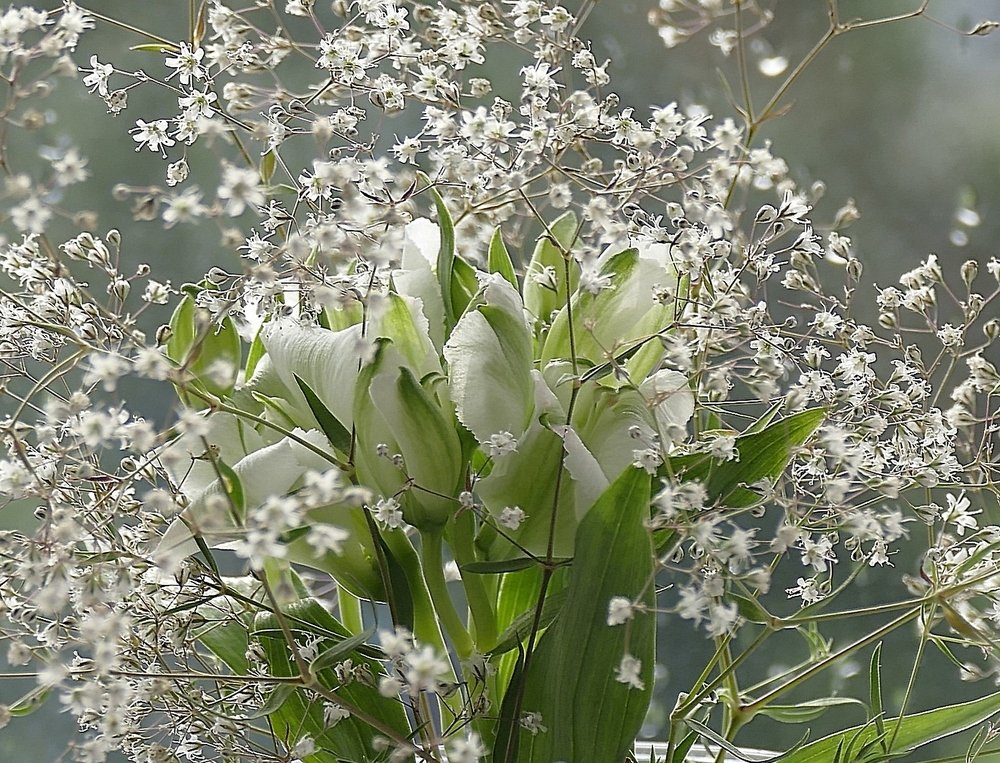 Photograph by Наталья